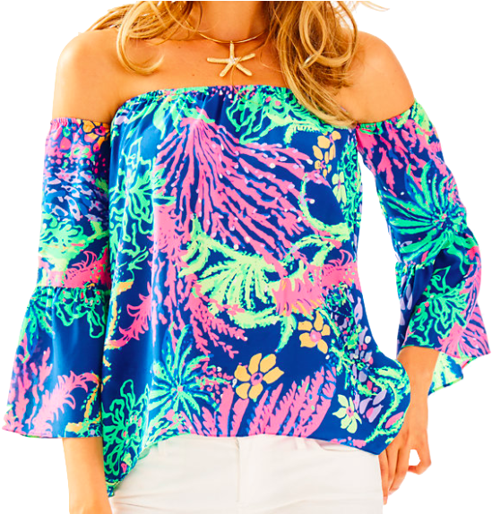 Screen Shot 2017 05 10 At - Blouse Clipart (549x574), Png Download