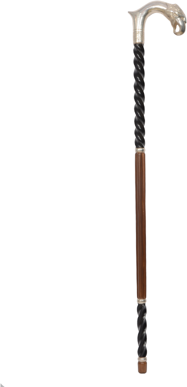 Trekking Pole Clipart (800x800), Png Download