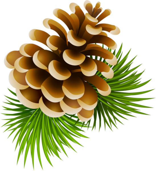 Pine Cone Clipart - Png Download (548x600), Png Download