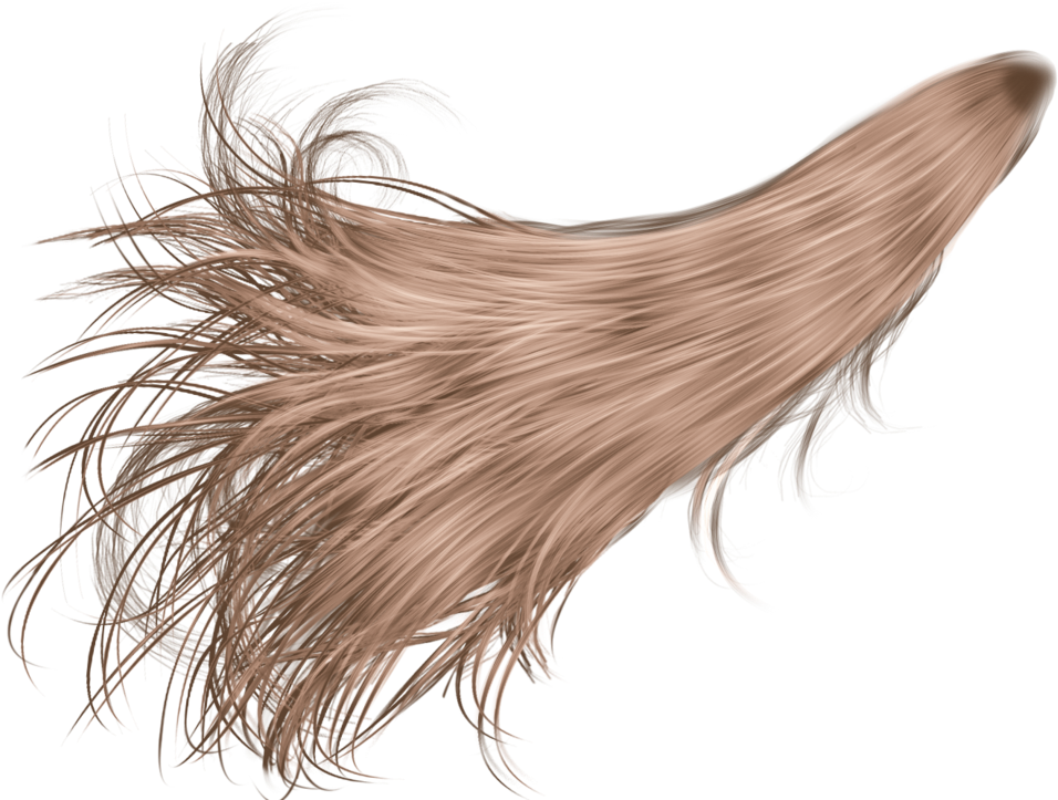 White Hair Png , Png Download - Hair In Wind Png Clipart (956x723), Png Download