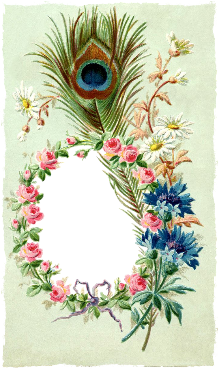 Vintage Frame Floral Feather Png Image - กรอบ วิน เท จ ดอกไม้ Clipart (759x1280), Png Download