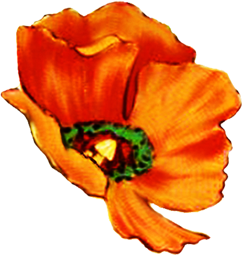 Poppy Clipart Single Poppy - Scrapbooking - Png Download (554x650), Png Download