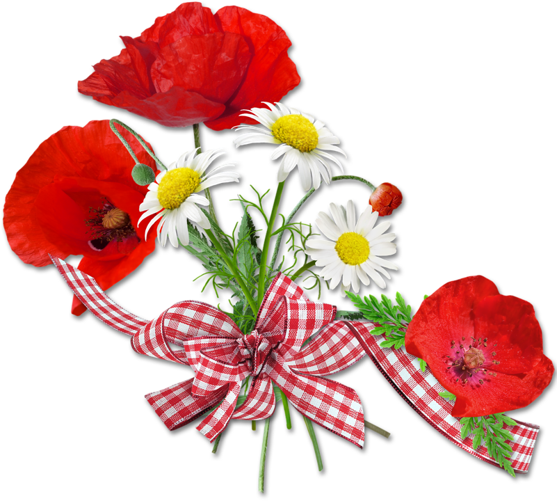 Bouquet Vector Poppy - Belle Semaine Clipart (800x800), Png Download