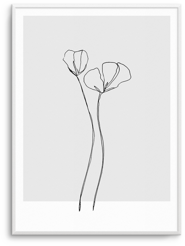 Poppy Grey Illustration Buy - Paper Clipart (812x1023), Png Download