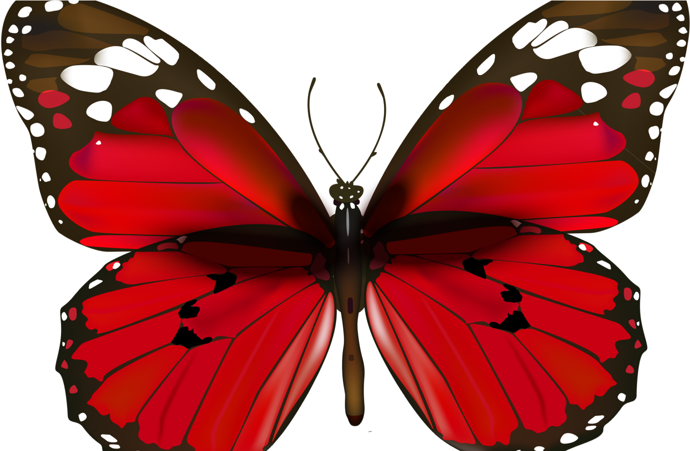 Happy New Year Butterfly Clipart (1440x900), Png Download