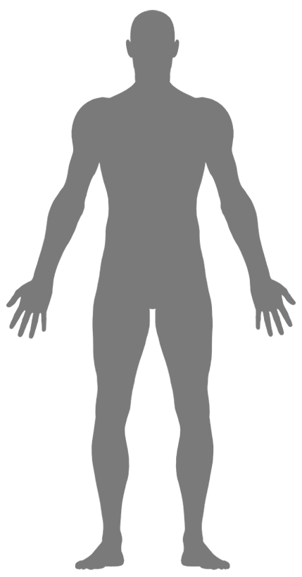 Our Bodies - Women Body Clipart Silhouette - Png Download (429x819), Png Download