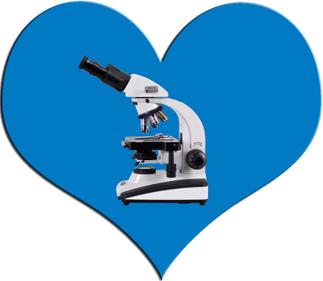 Microscope Clipart Responsible Girl - Microscope - Png Download (1035x901), Png Download