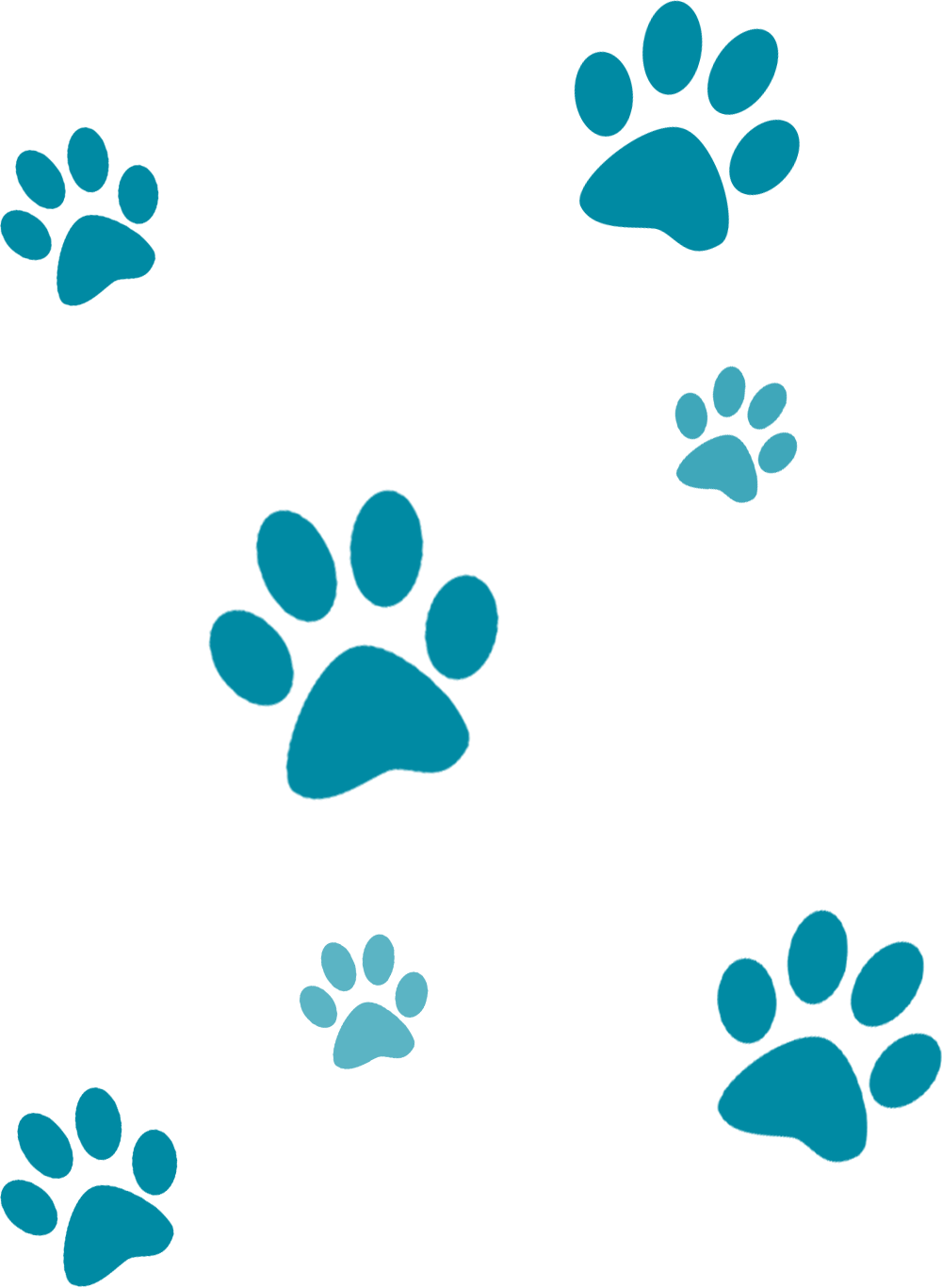 Ways To Partner - Transparent Background Paws Png Clipart (1000x1367), Png Download