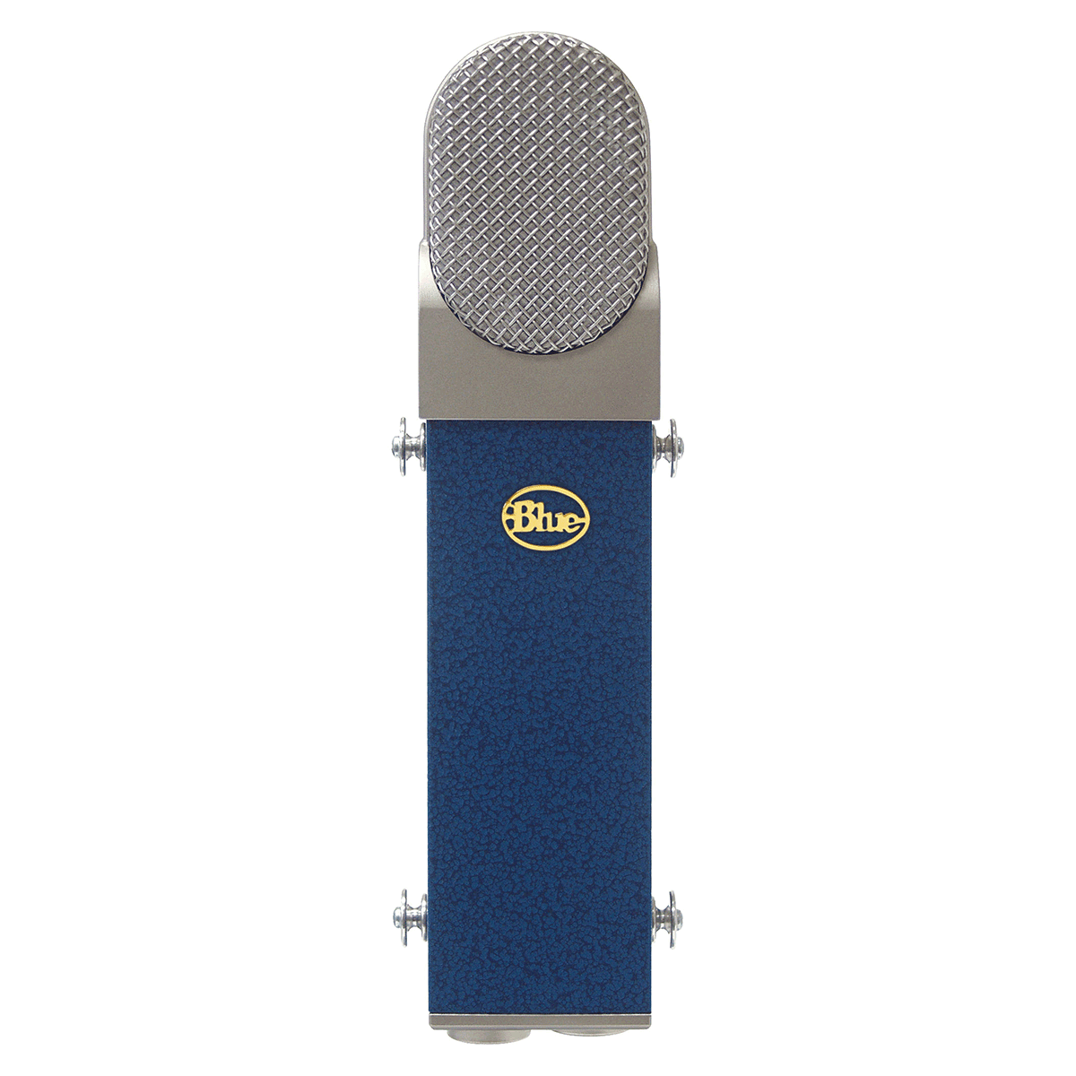 Blueberry Condensor Microphone - Blue Blueberry Clipart (1200x1200), Png Download