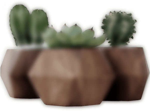 Dark Slider 3 Plant - Hedgehog Cactus Clipart (600x526), Png Download