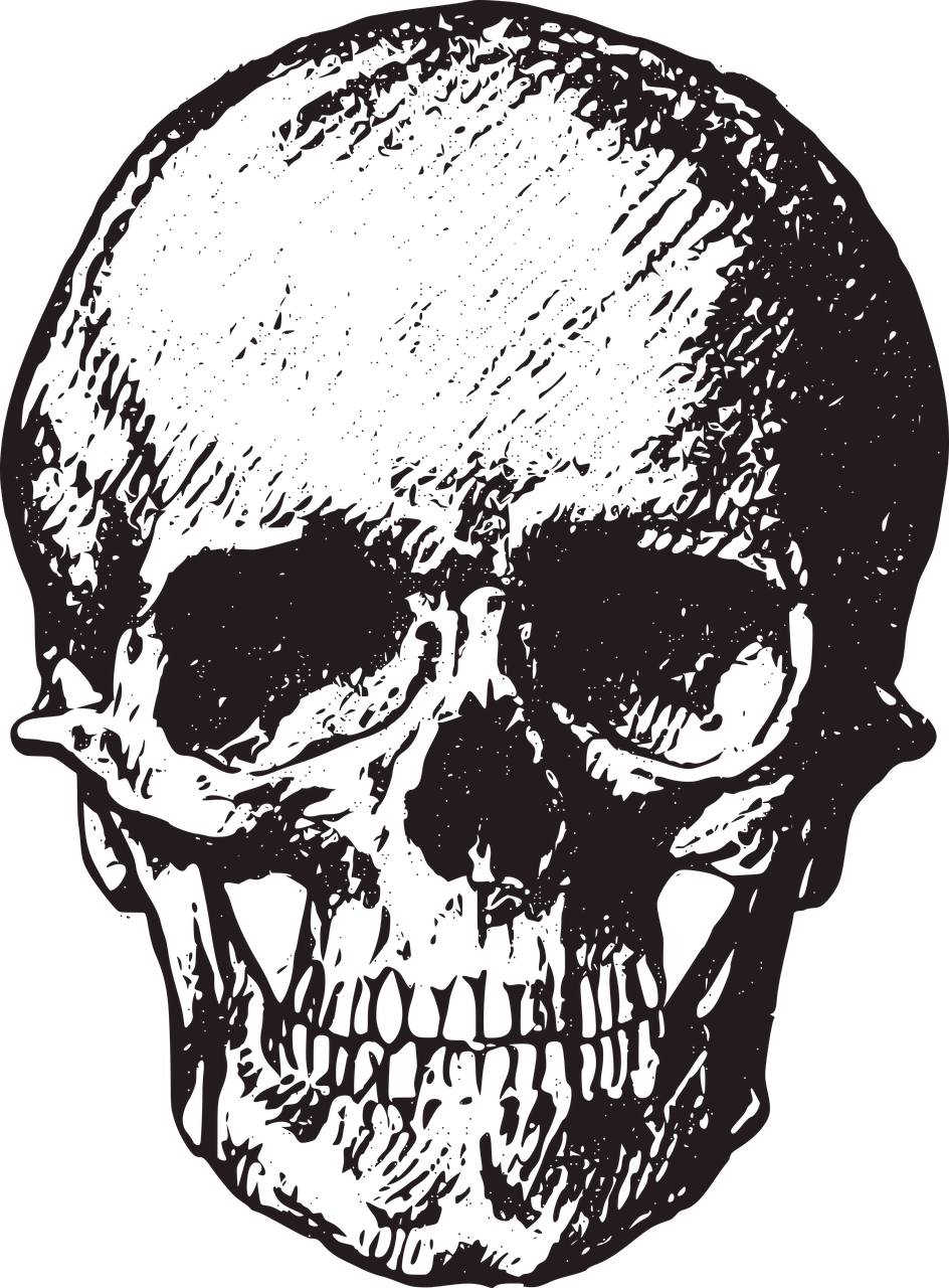 Skull Vintage Old Horror Png Image - Royalty Free Transparent Skull Clipart (944x1280), Png Download