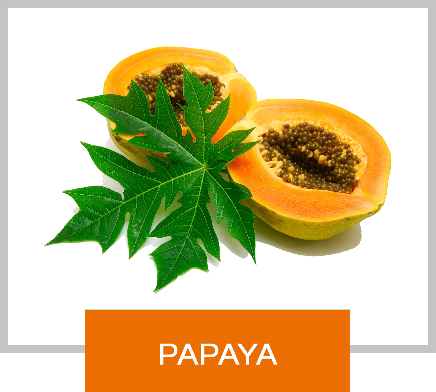Papaya With Leaves Clipart (1402x1261), Png Download