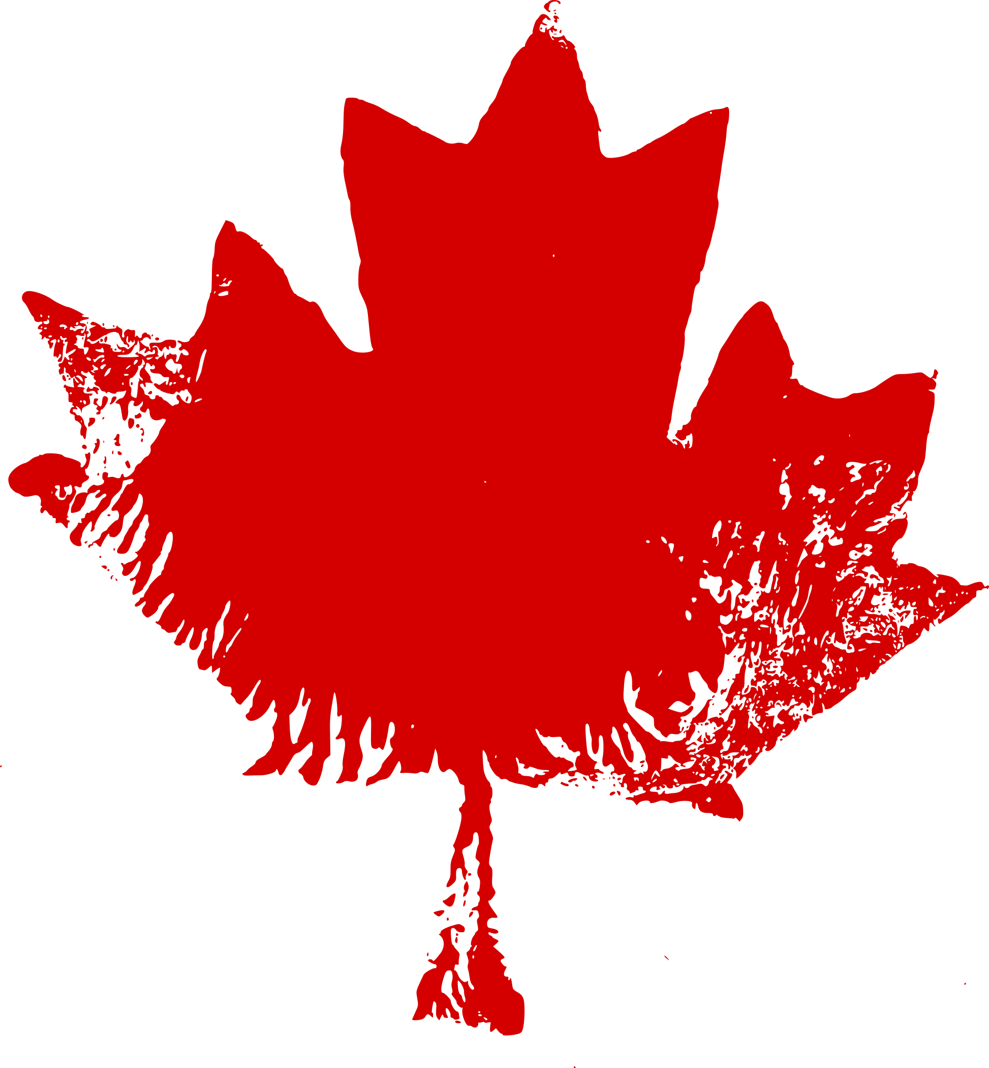 Free Download - Maple Leaf Clipart (1946x2101), Png Download