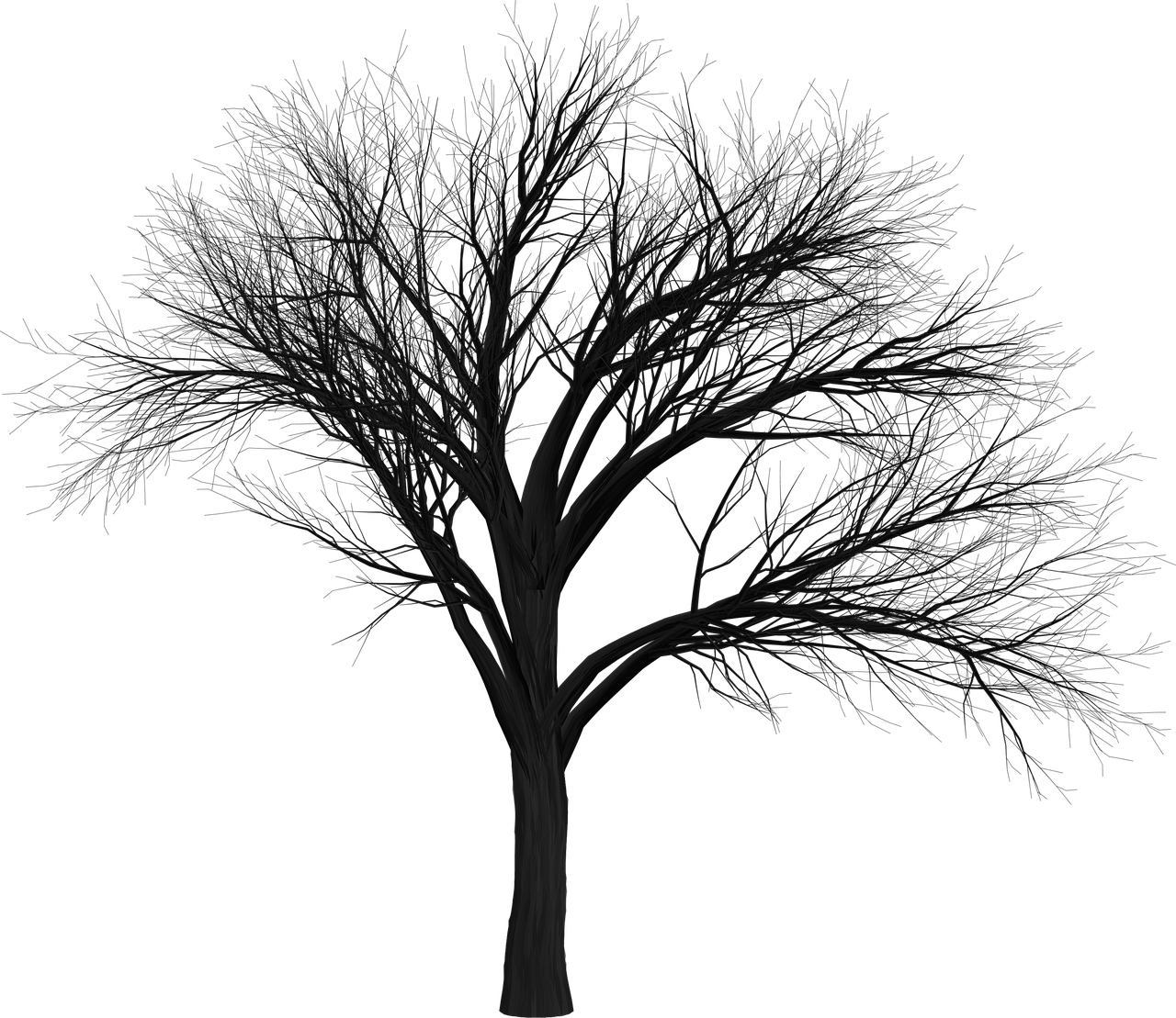 Tree Branch Empty - Scary Tree Png Clipart (1280x1109), Png Download