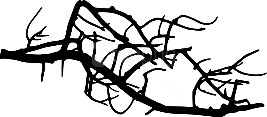 Free Png Tree Branch Png Images Transparent Clipart (850x374), Png Download