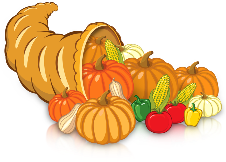 Free Cornucopia Png - Pumpkin Clipart (800x594), Png Download