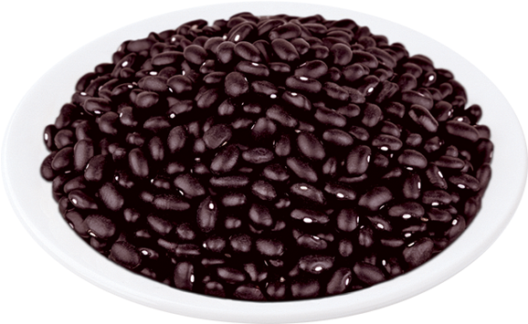 Black Beans Png - Cranberry Bean Clipart (600x600), Png Download