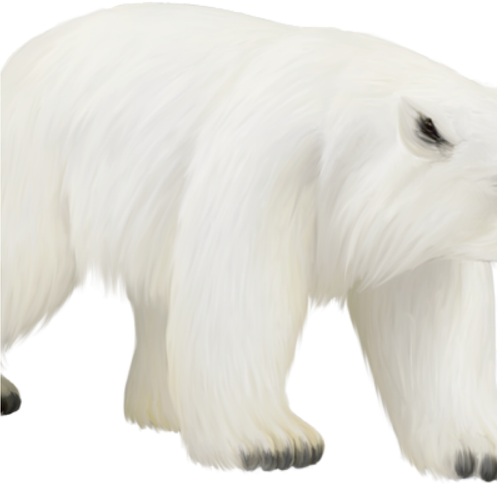 Polar Bear Clipart Pin Gina Atkins Peake On Youre An - Polar Bear - Png Download (1024x1024), Png Download