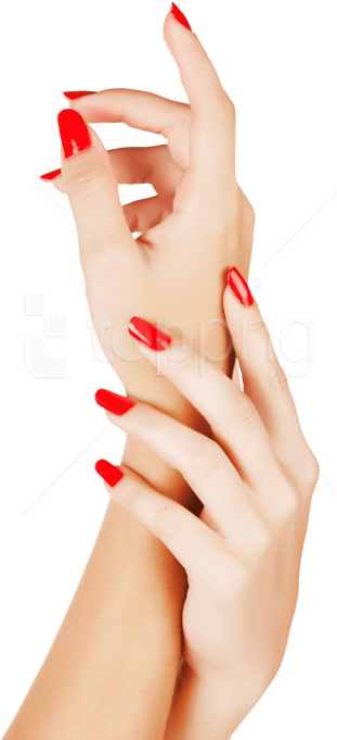 Free Png Nails Color Png Images Transparent - Hand Nail Polish Png Clipart (480x720), Png Download