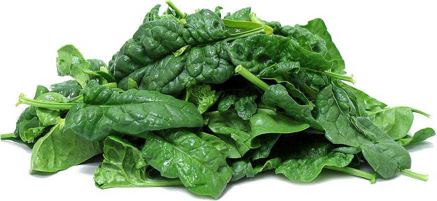 Download Spinach Png Clipart - Spinach Png Transparent Png (872x401), Png Download