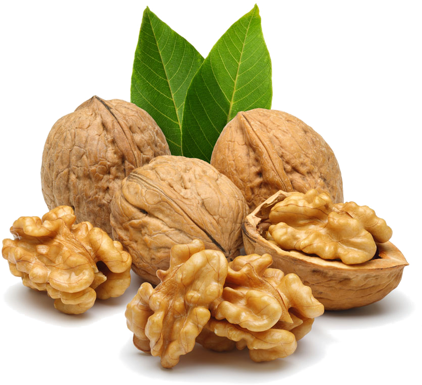 Nut Free Png Image - Walnut Images Png Clipart (1000x895), Png Download