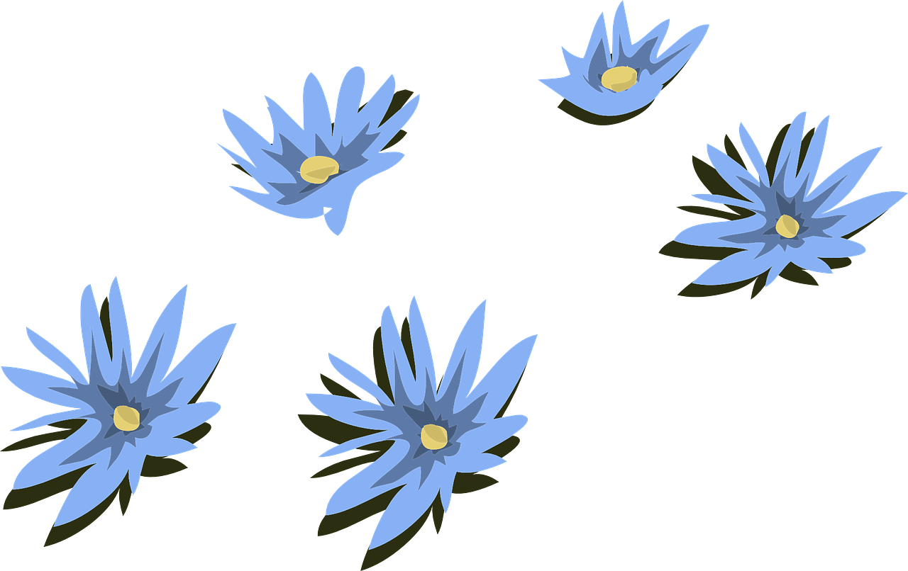 Water Lily Lilies Blue Flowers Png Image - Blue Lily Flower Transparent Clipart (1280x806), Png Download