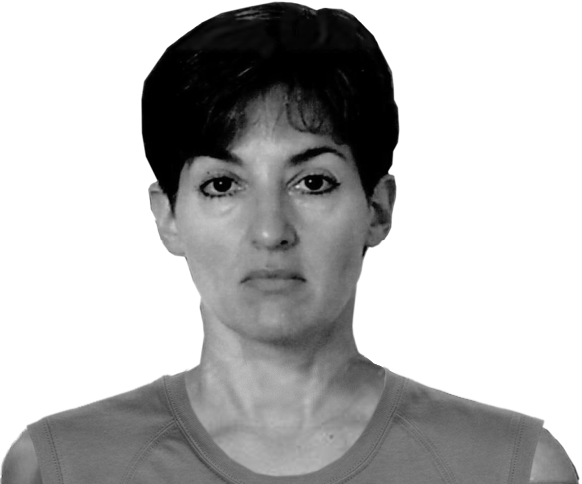 Ana Belen Montes Mashup - Ana Belen Montes Clipart (1152x959), Png Download