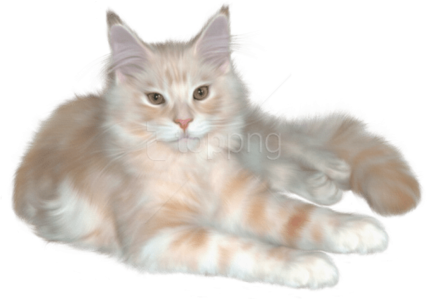 Real Cat Clipart - Png Download (850x605), Png Download