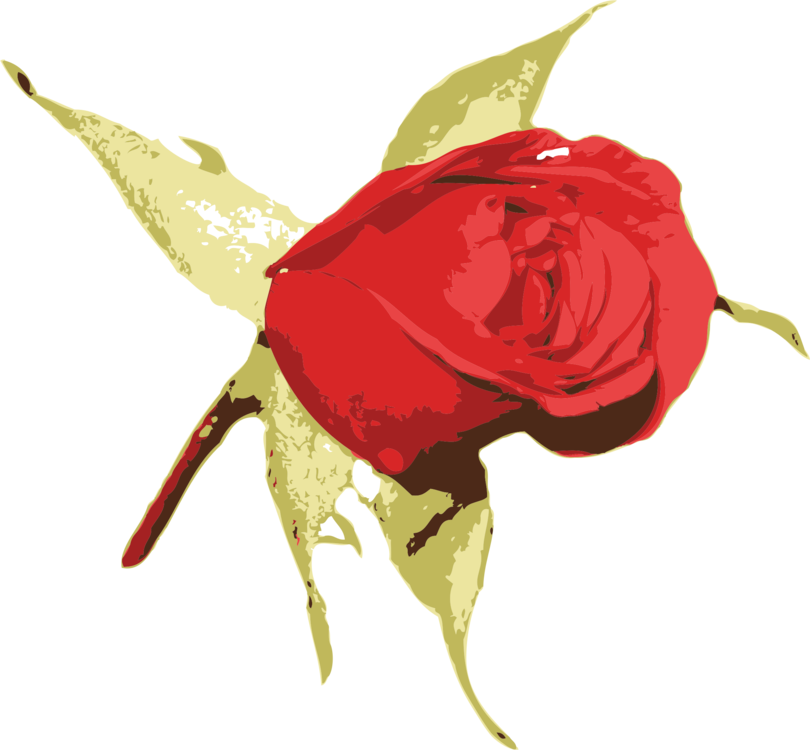 Garden Roses Blue Rose Flower - Rose Clipart (810x750), Png Download