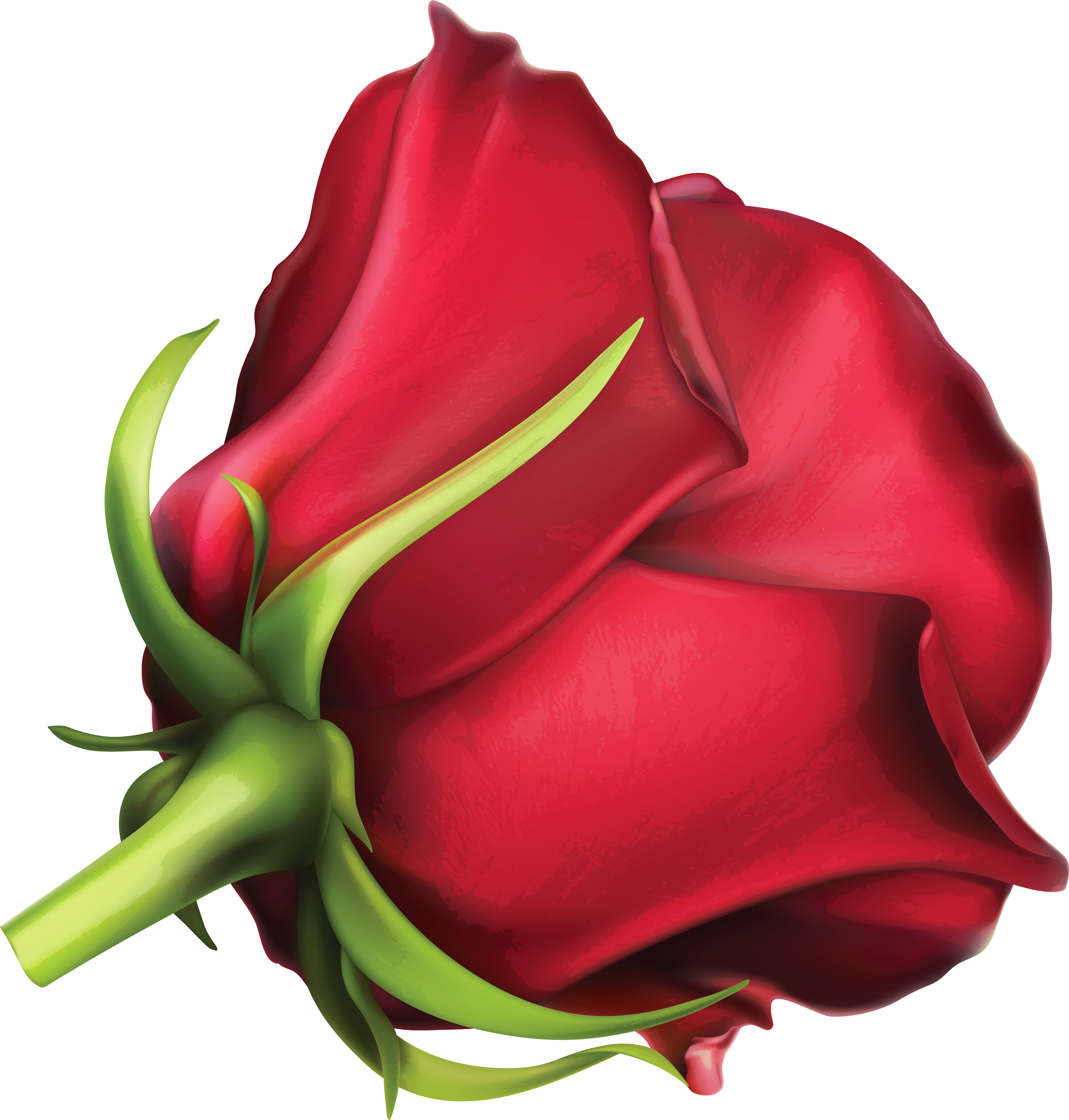 Large Red Rose Png Clipart Image - Стикеры Цветы Transparent Png (5353x5588), Png Download