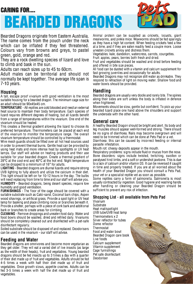 Golden Hamster , Png Download - Dipsosaurus Clipart (625x921), Png Download