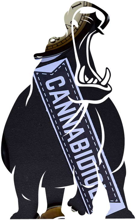 Hippo Shaped Canibidol - Illustration Clipart (508x758), Png Download