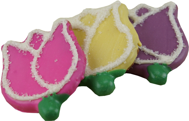 Tulip - Illustration Clipart (1018x679), Png Download