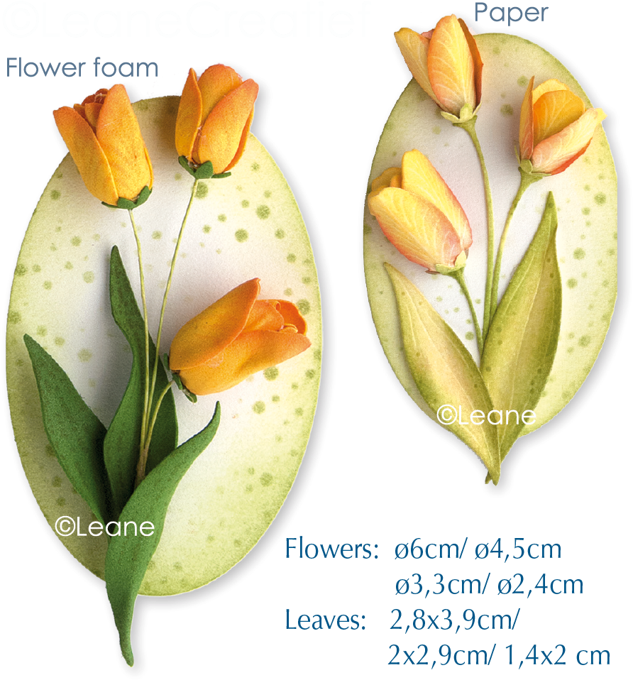 Picture Of Clear Stamp 3d Flower Tulip - Acianthera Luteola Clipart (1740x1020), Png Download