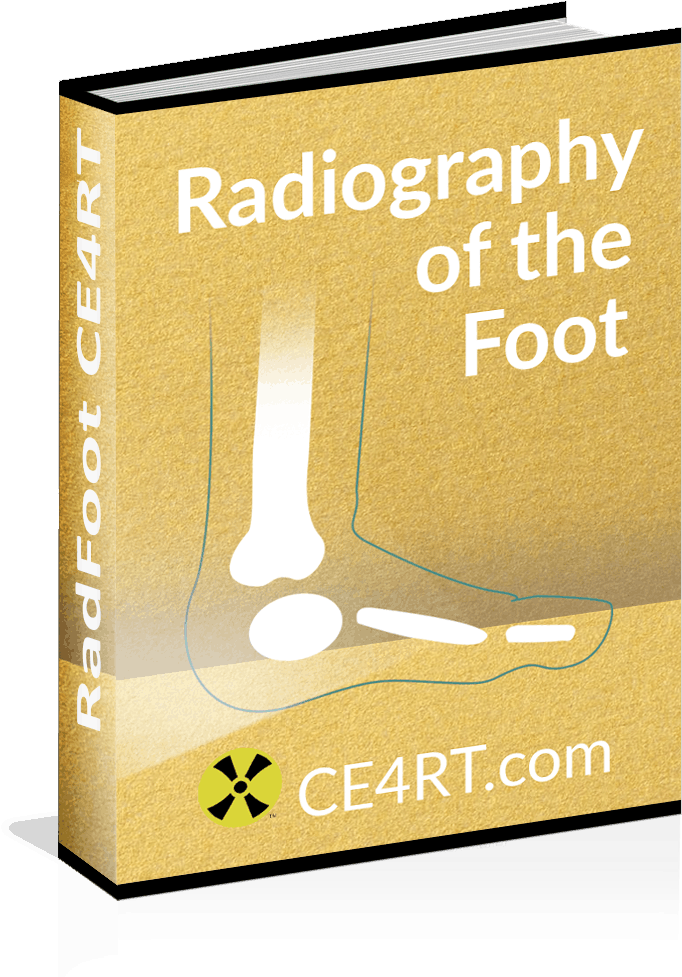 Graphic Design Clipart (800x1000), Png Download