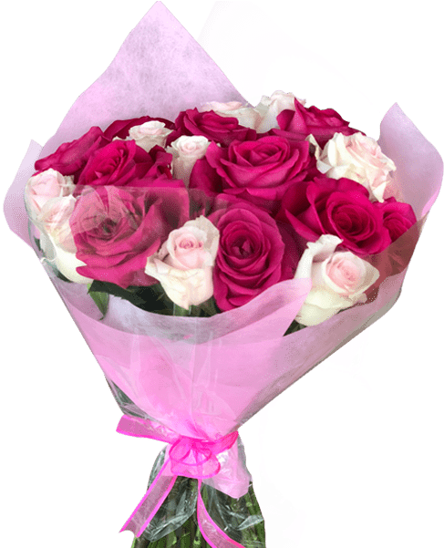 Diy 24 Hot & Light Pink Roses Bouquet Magnaflor - Garden Roses Clipart (600x600), Png Download