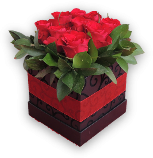 Bloomin Box Red - Floribunda Clipart (600x589), Png Download