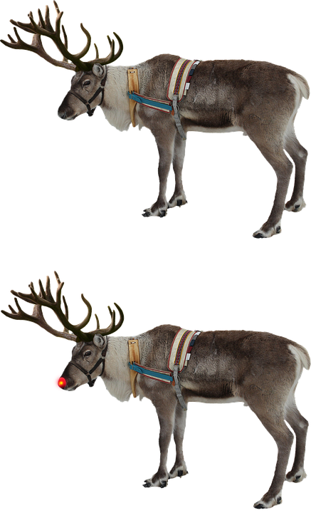 Reindeer, Red Nose, Rudolph, Isolated, Christmas - Santa Claus Deer Png Clipart (437x720), Png Download