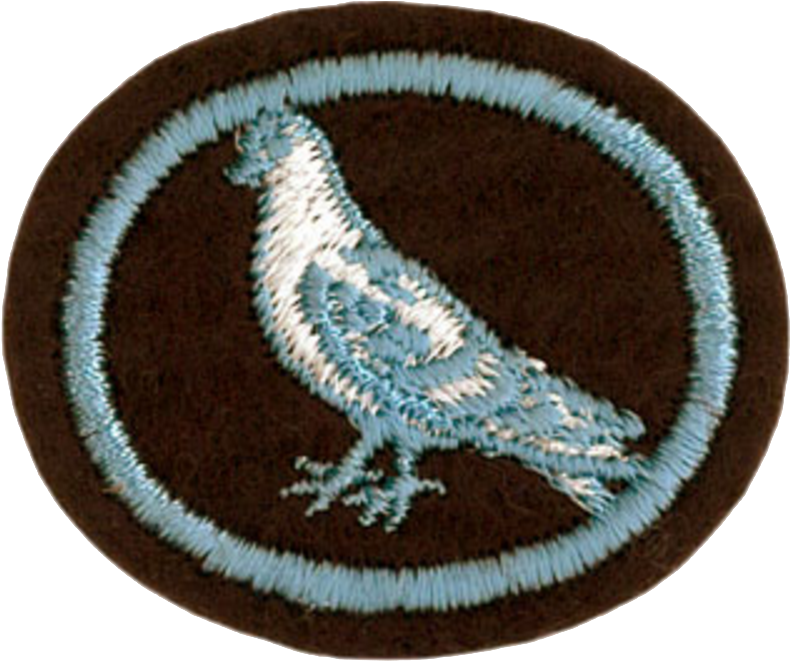 Pigeon Raising Honor - Eagle Clipart (810x664), Png Download