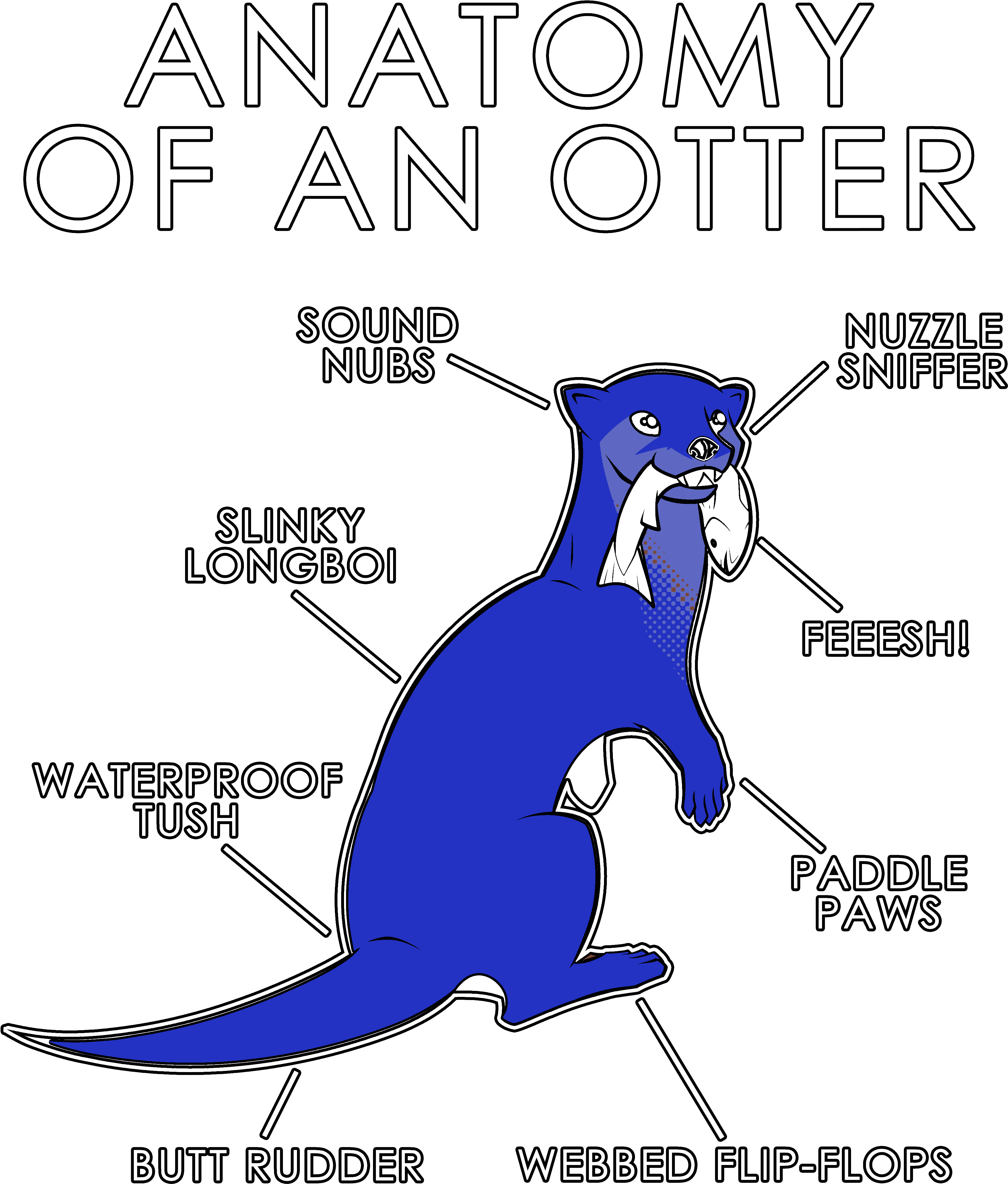 Anatomy Of An Otter - Illustration Clipart (3630x4950), Png Download