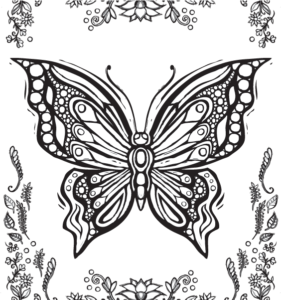 detailed butterfly coloring pages at getdrawings free - detailed
