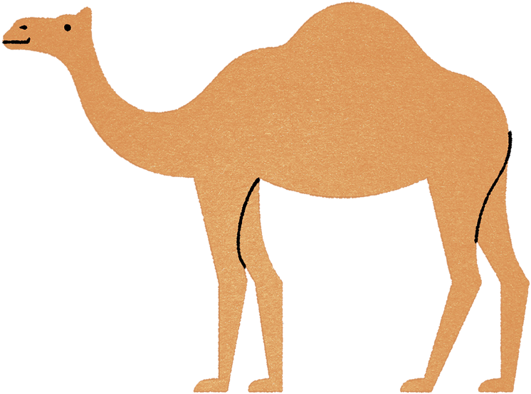 Camel Clipart Alice The Camel - Arabian Camel - Png Download (800x630), Png Download