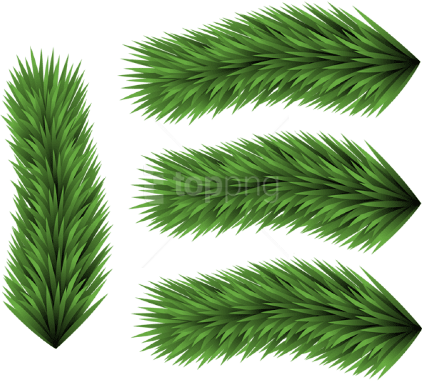 Free Png Set Of Pine Branches Png - Grass Clipart (850x765), Png Download