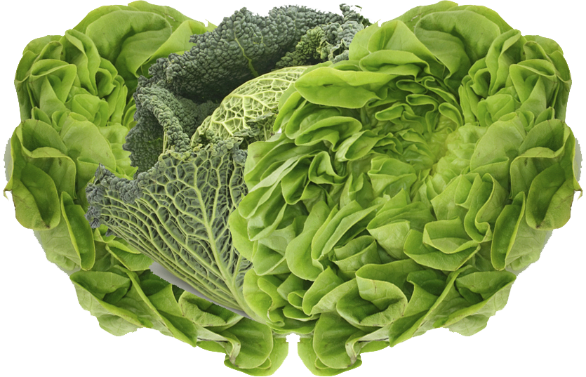 Discover The San Luis Valley Difference - Green Vegetable Clipart (835x537), Png Download