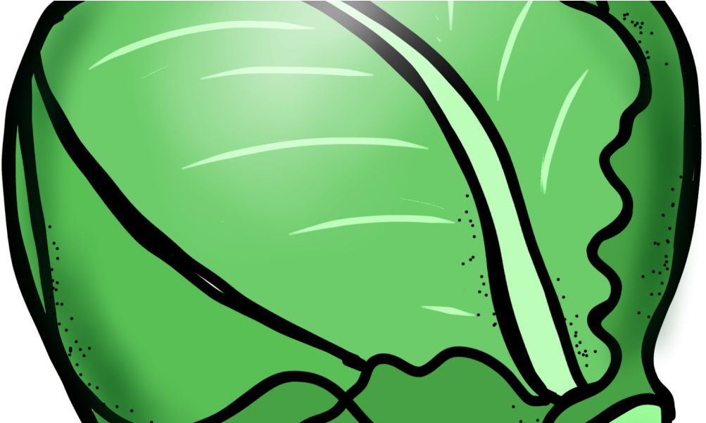 Green Cabbage Clip Art - Png Download (1024x600), Png Download