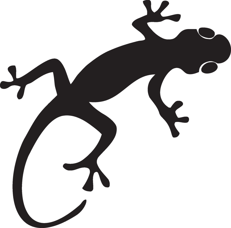 Clipart The Noble Big Transparent Gecko Silhouette Png Download Large Size Png Image Pikpng