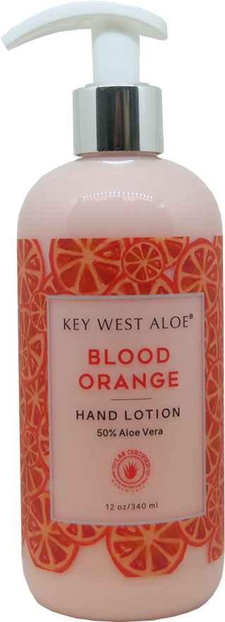 Ingredients - - Plastic Bottle Clipart (1000x1000), Png Download