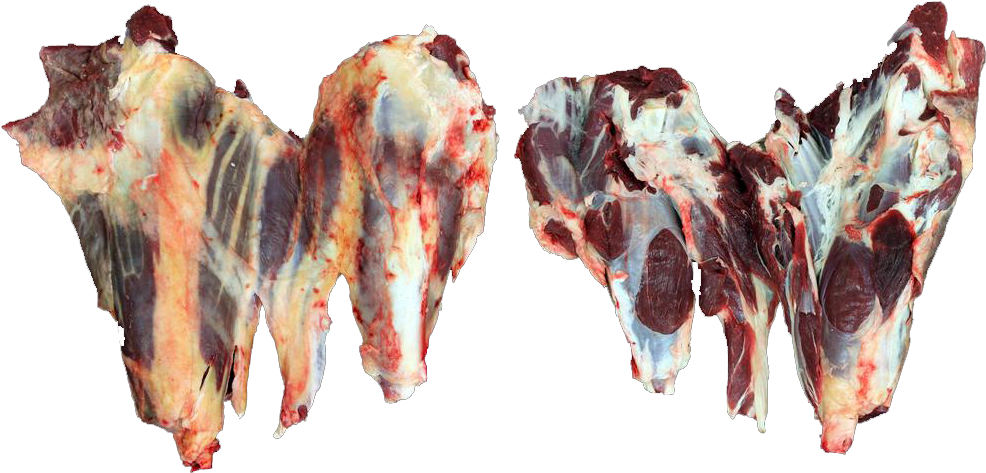 Shell , Png Download - Salt-cured Meat Clipart (986x473), Png Download