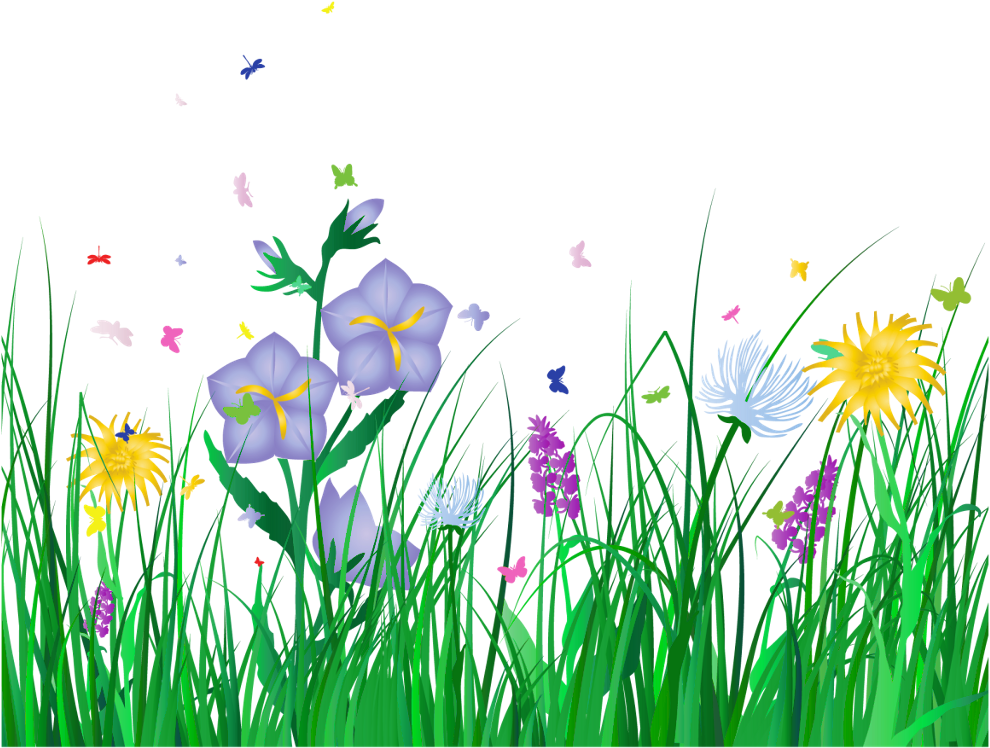 Overlay Sticker - Spring Flowers Transparent Background Clipart (1024x790), Png Download