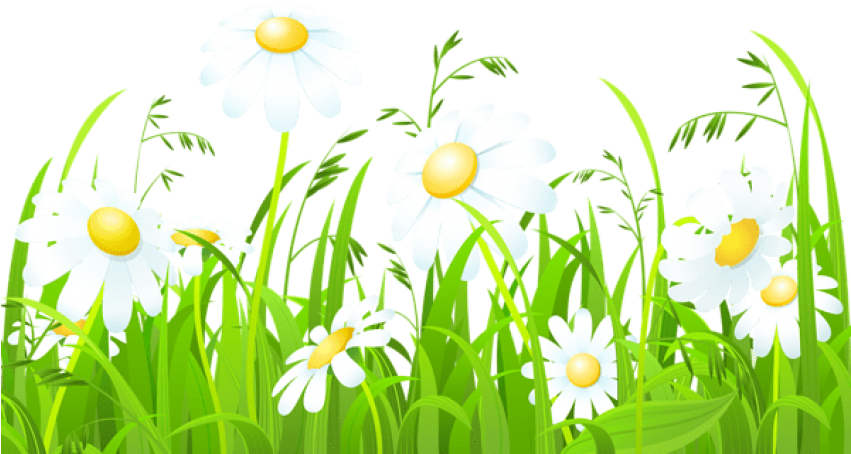 Free Png Download White Flowers And Grass Transparent - Grass Clipart (850x481), Png Download